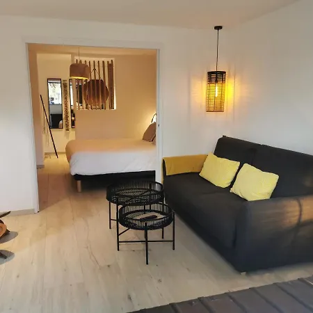 Апартаменты Casa Louise And Spas Privatifs *