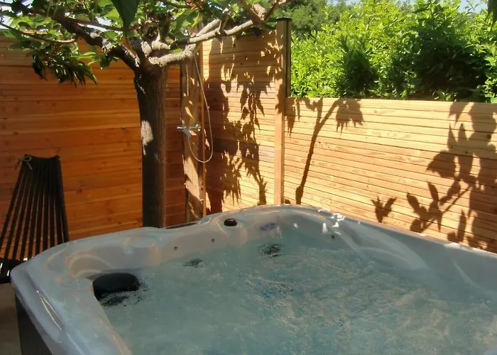 Апартаменты Casa Louise And Spas Privatifs